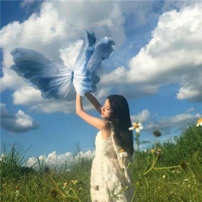 逐彩虹去